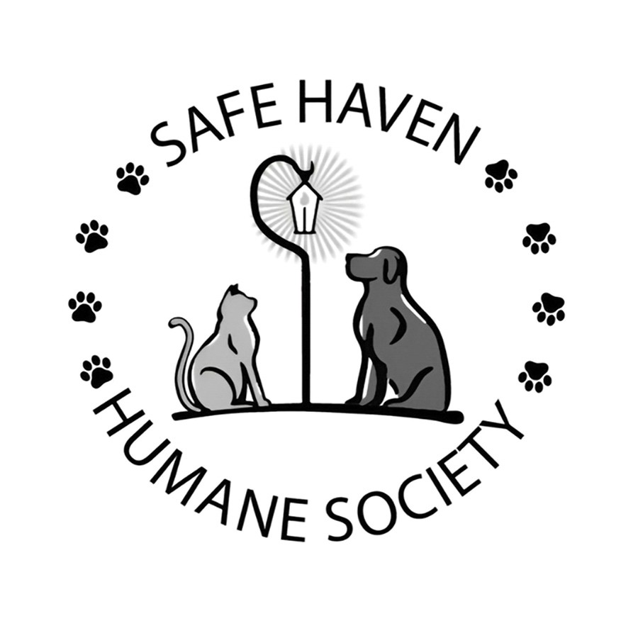 Riley Subaru Service Advisor Ken Ostert with his wife and their dog Mickey, adopted at Safe Haven at an October 2024 adoption event hosted at the Riley dealership.