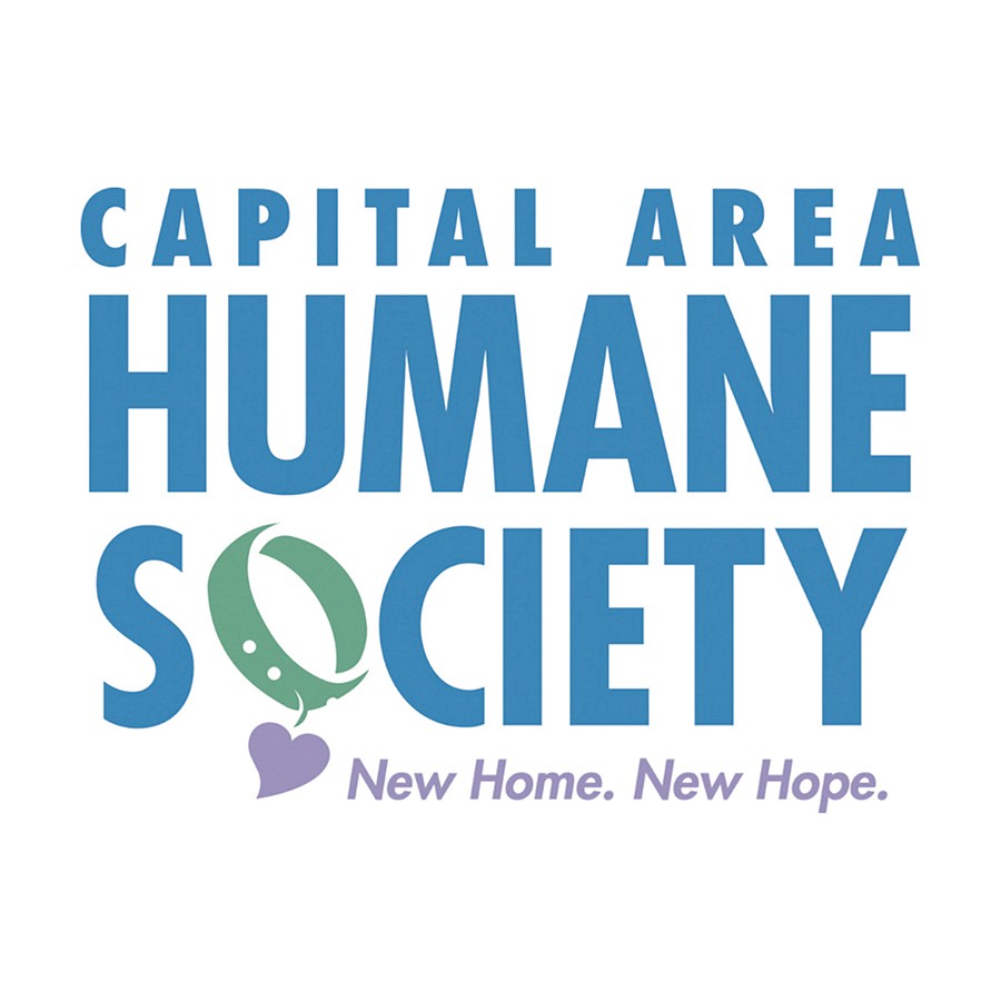 Puppies available for adoption at our Wags N Wheels adoption event at Williams Subaru on October 4, 2024.