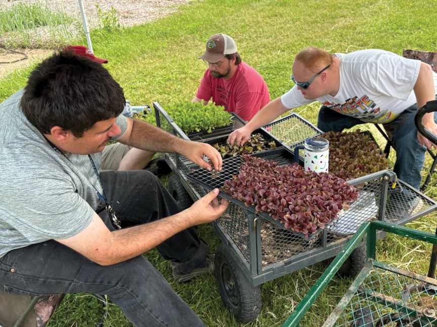 Employees and staff working on the farm. This shows the work skills developed through our peer mentoring program in the fields and in our apothecary crafting room. Impact