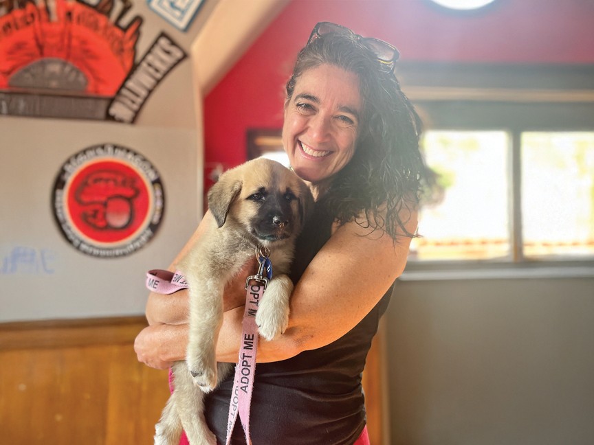Each year more than 4,000 homeless cats and dogs, like these three kittens, find shelter, care, and love at Animal Friends Alliance. These kittens were in desperate need of veterinary care, and we are fortunate to have the support to provide it. Impact