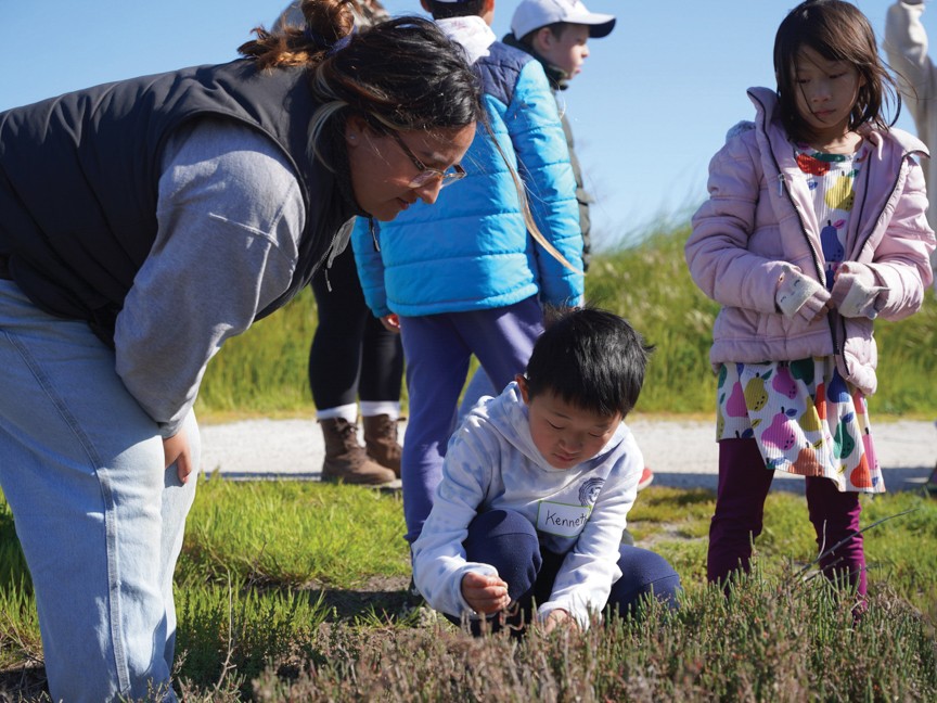 Save The Bay staff member looks on as a student observes a plant in the tidal marsh. Impact