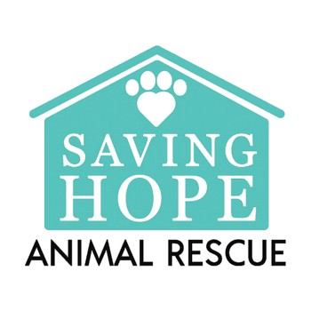 Saving Hope rescue representatives, rescue pups, and Hiley Subaru team members at the Subaru Share the Love check presentation.