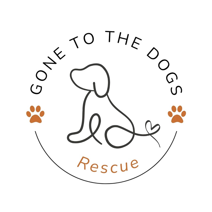 During our 2024 Subaru Subaru Loves Pets Event we found Loki his perfect people!! Loki was an adult dog rescued from a Los Angeles area high kill shelter. This true underdog, who was very malnourished, was nur.