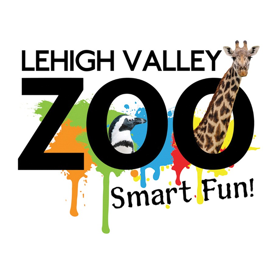 Bean, a Linnaeus's two-toed sloth, hangs on his perch inside the Subaru dealership as customers look on.