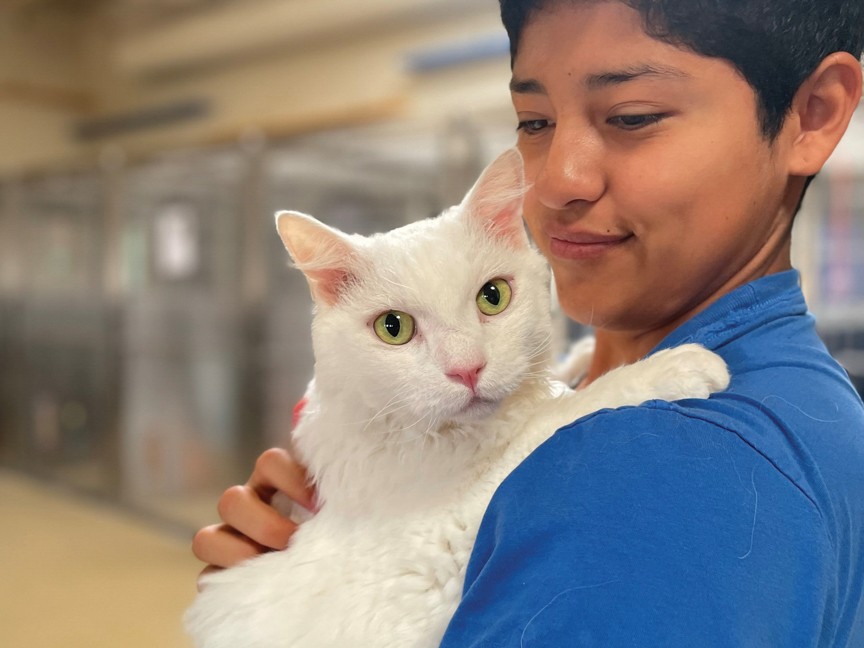 Black mix dog laying on the grass of her new home with adopted parent that was once her foster parent. Impact