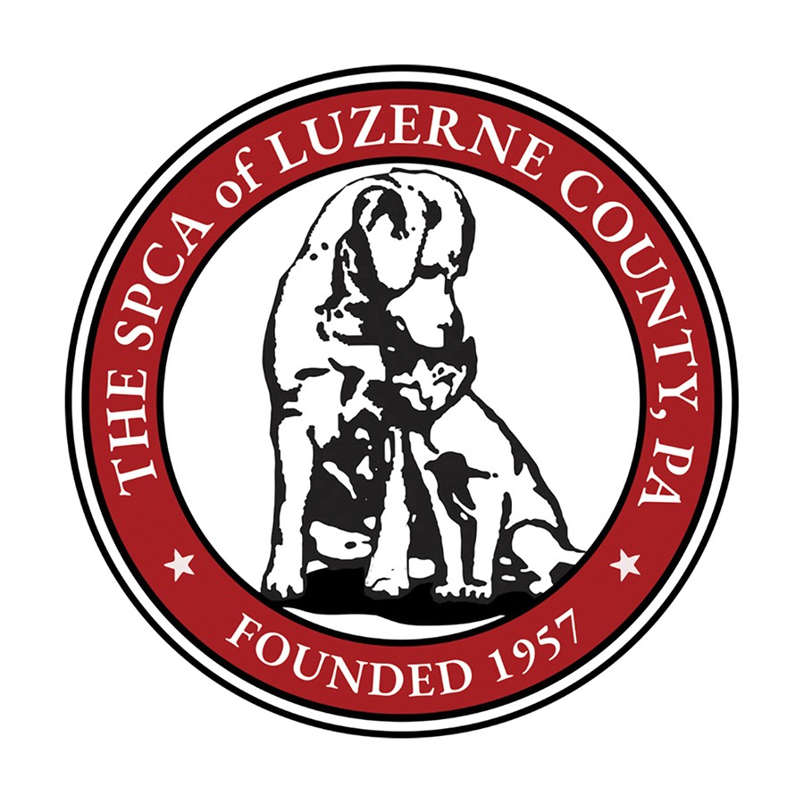 Carrot taking a break from all of fun at the Subaru Kitty/Puppy Bowl 2025.