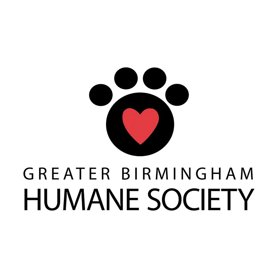 An adopted animal poses with the Subaru cutout at an adpotion event hosted by Hendrick Subaru.