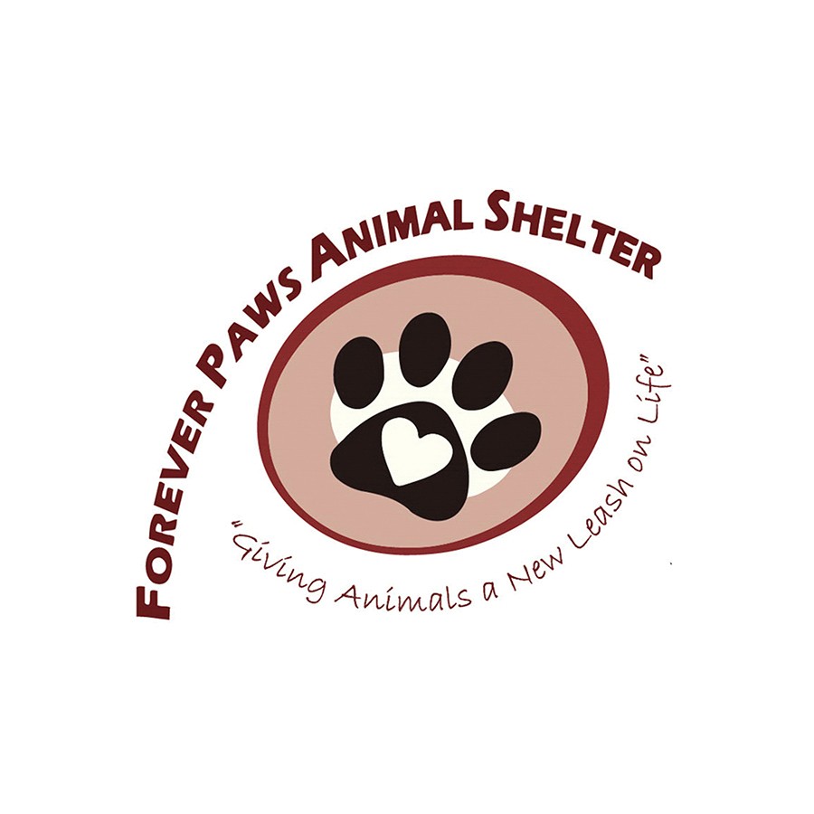 Stateline Subaru features our animals weekly through Subaru Loves Pets. Pictured here is Dublin Mudslide. These posts help us showcase adoptable pets and connect with more potential adopters for all our animals.