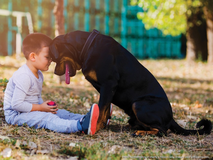 Therapy Dog Indy of K-9 Caring Angels is pictured during his certification test before going off to Richard Bland College, spreading comfort and joy as he interacts gently with a young child, one paw closer to officially earning his title. Impact